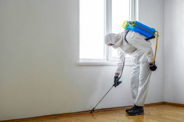 Pest Prevention Services in Antigo, WI