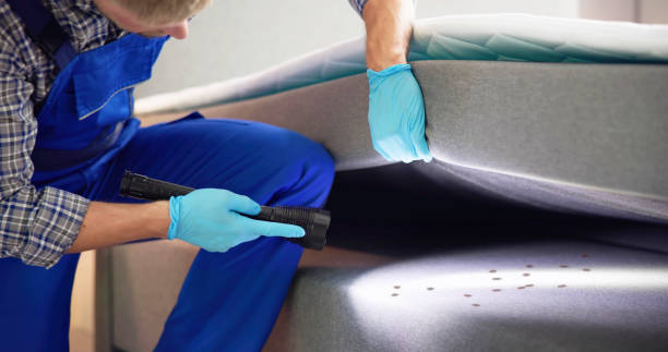 Best Ant Control Services  in Antigo, WI